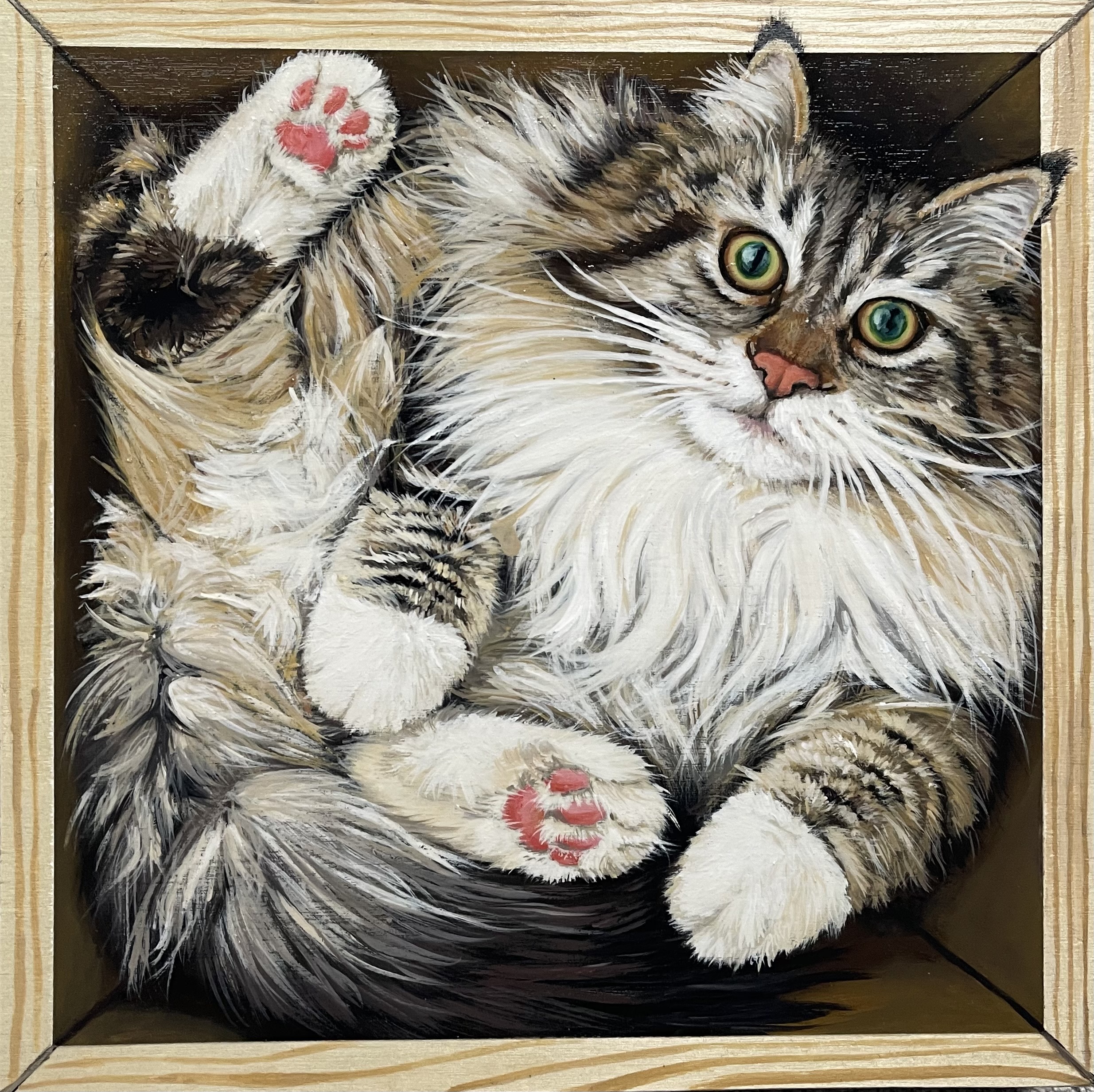 Boxed In, Living Large