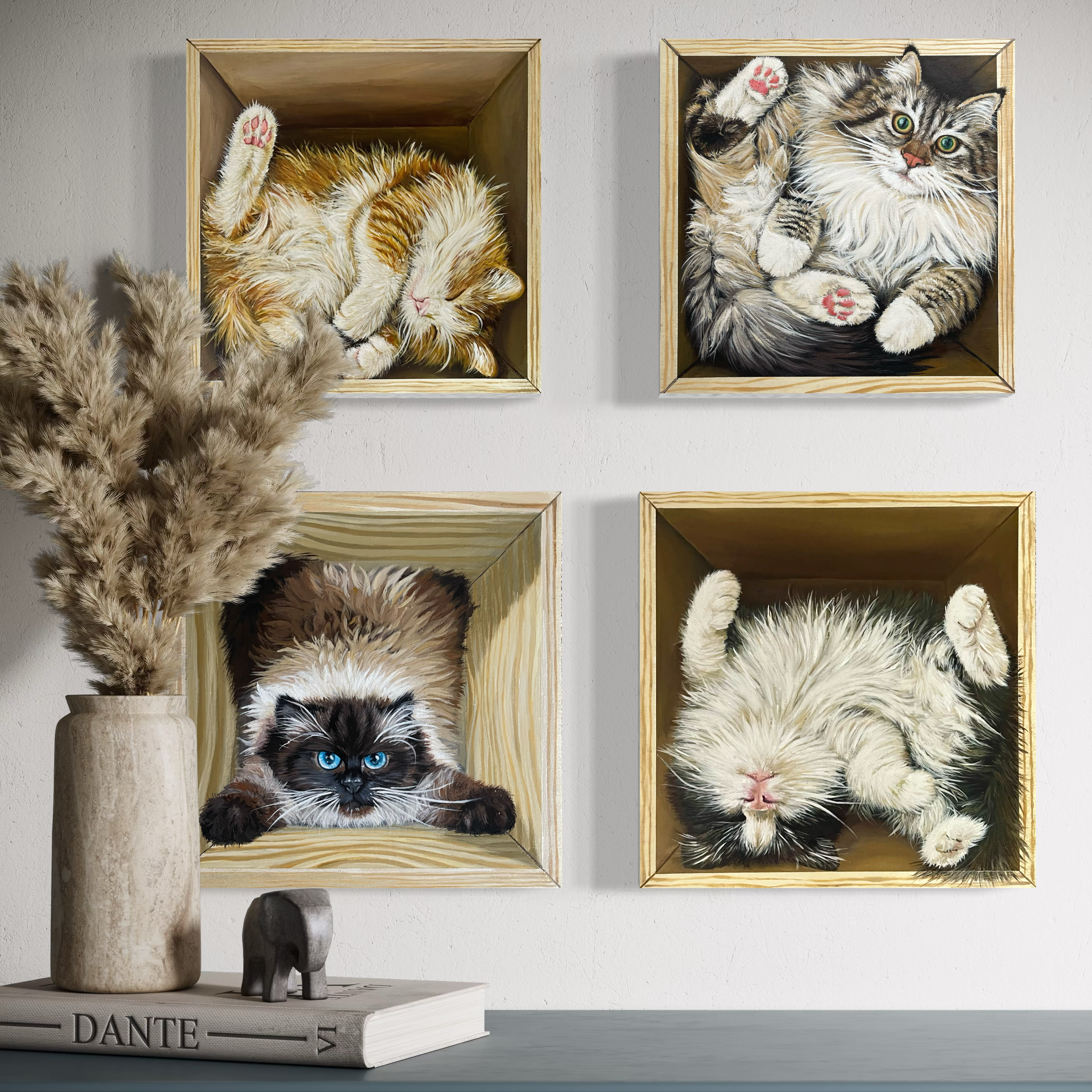 Little Box, Big Dreams