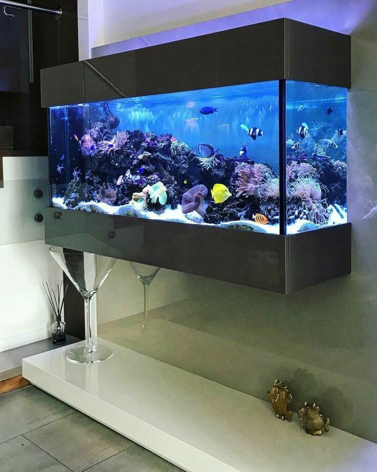 Luxury Wall-Mounted Aquarium