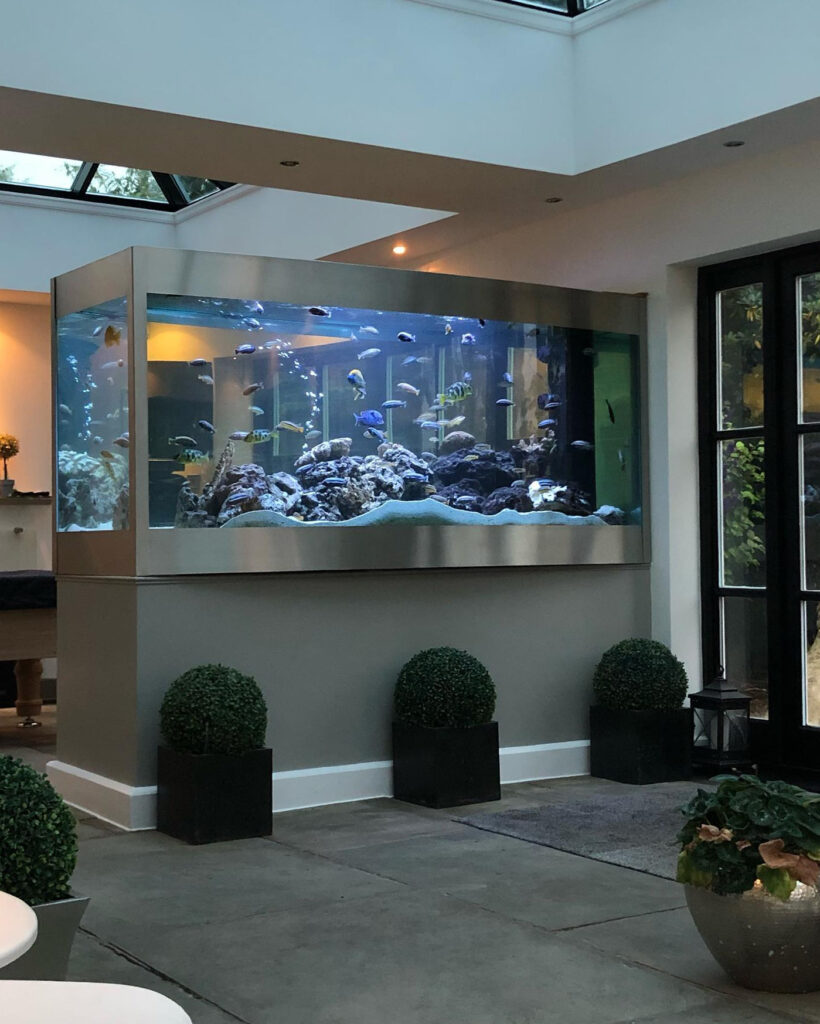 Large Wall-Mounted Aquarium