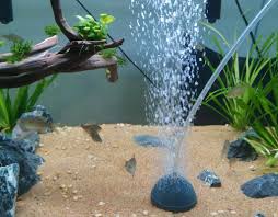 Aquarium Air Stone (Rs. 100-1800)