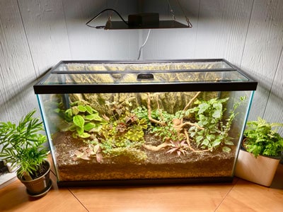 Glass Terrarium with LED Light