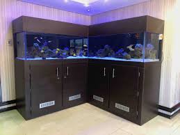Corner Fish Aquarium Set