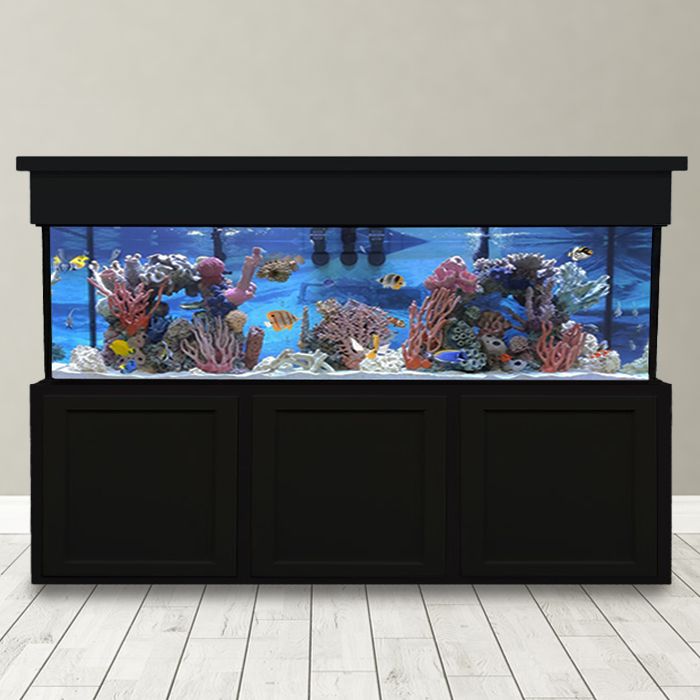 Large Aquarium with Stand