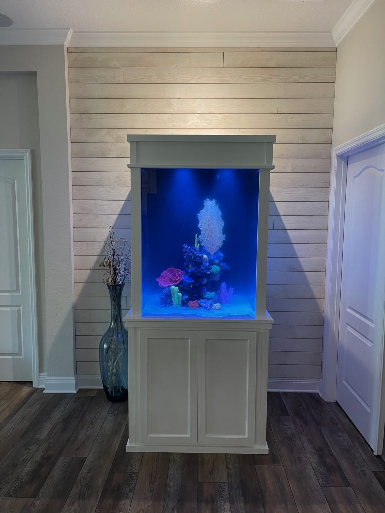 Modern Built-In Aquarium