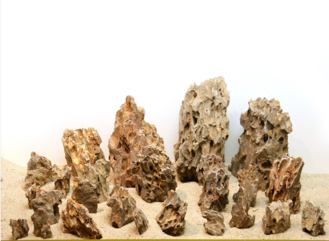 Aquarium Dragon Stone (Rs. 500-1500)