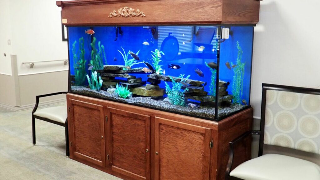 Large Wooden Fish Aquarium
