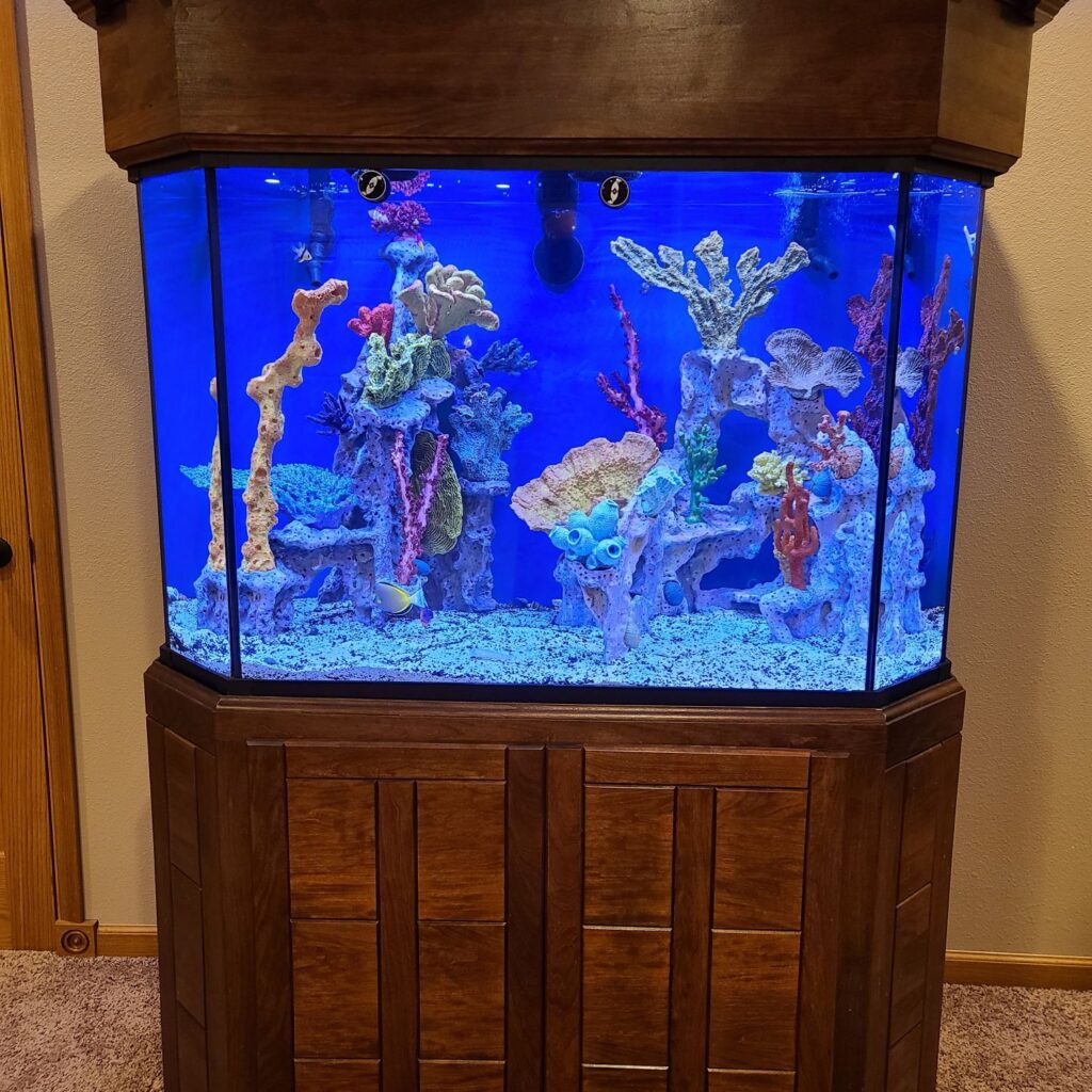 Wooden aquarium with artificial coral reef
