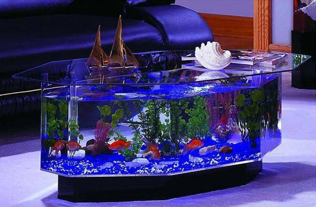 Aquarium Coffee Table