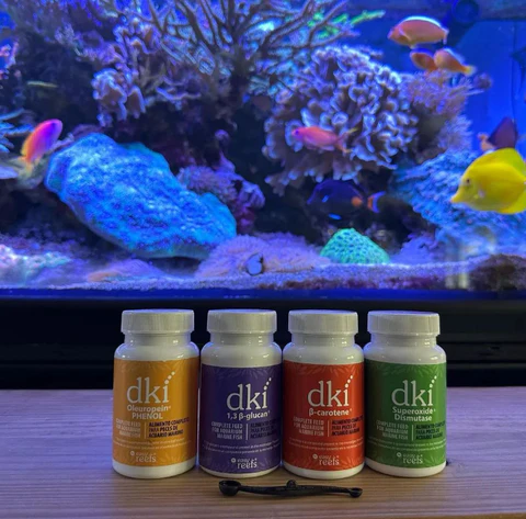 Aquarium Supplements Set 
