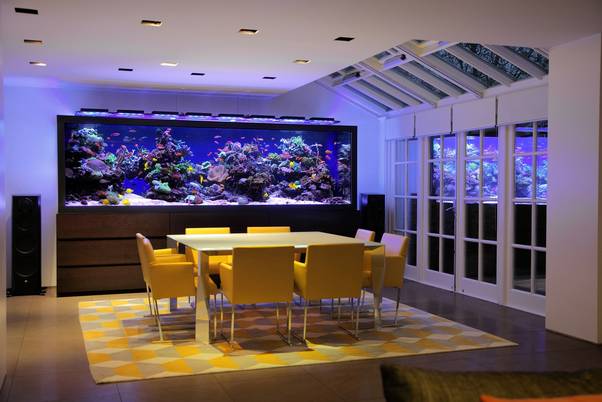 Large Custom-Built Aquarium