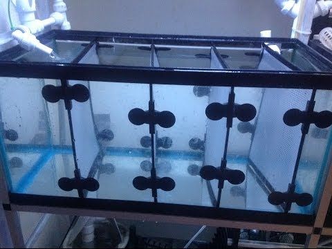 Aquarium Partition Glass