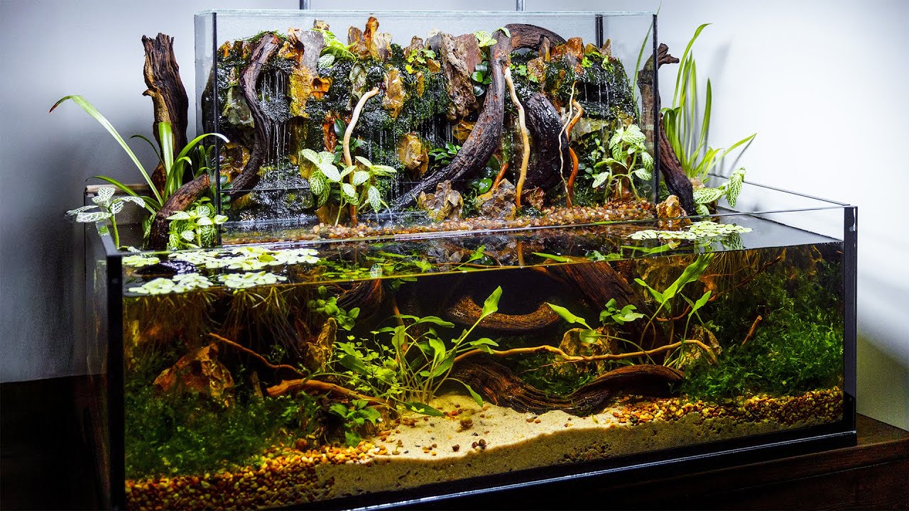 Nature-themed Aquascape Terrarium