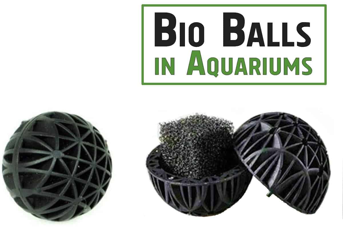 Sponge Bio Balls for Aquarium Filtration