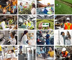 Diverse Workplace Solutions