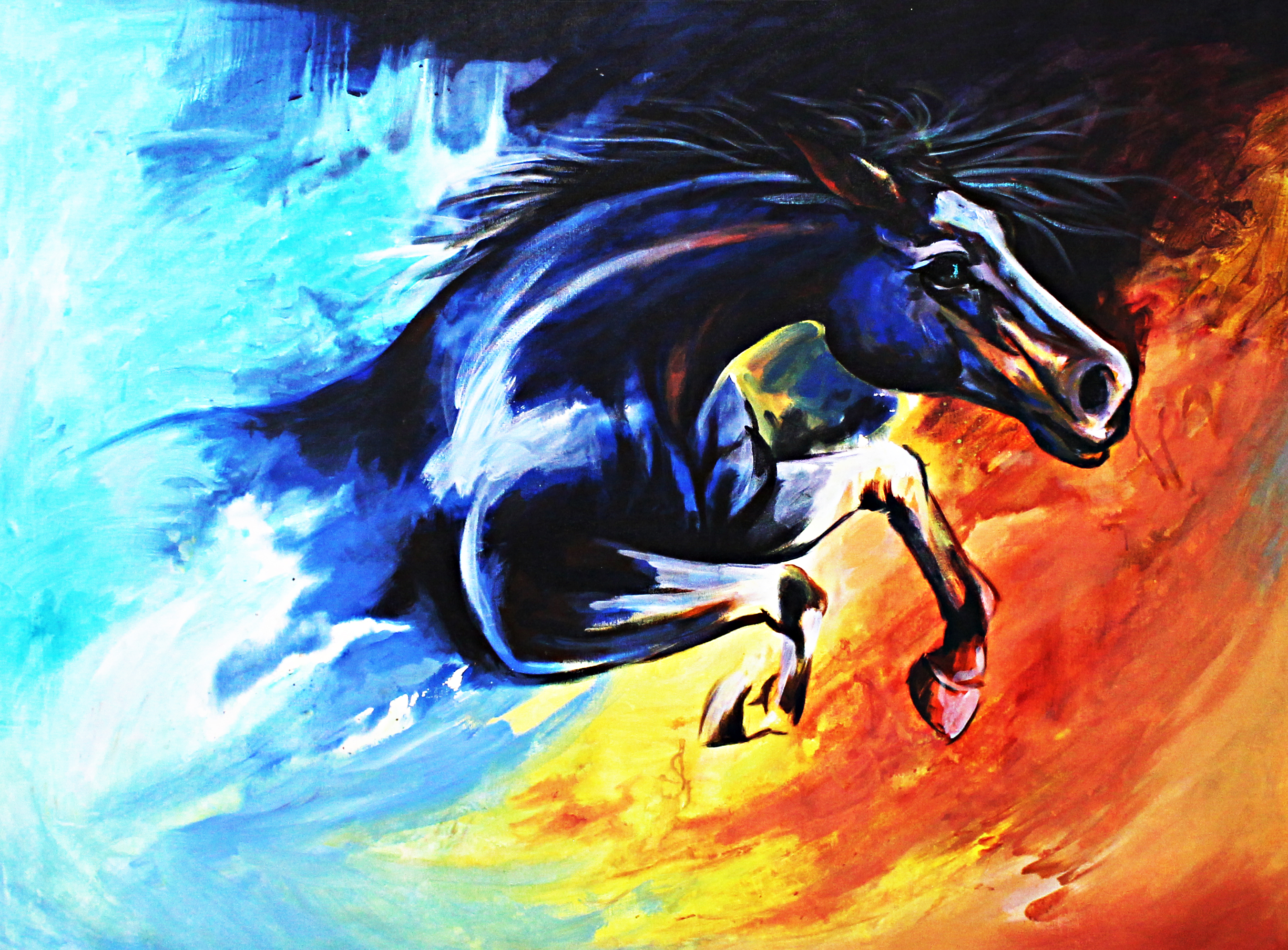 The Joy Of a Horse Canvas Painting