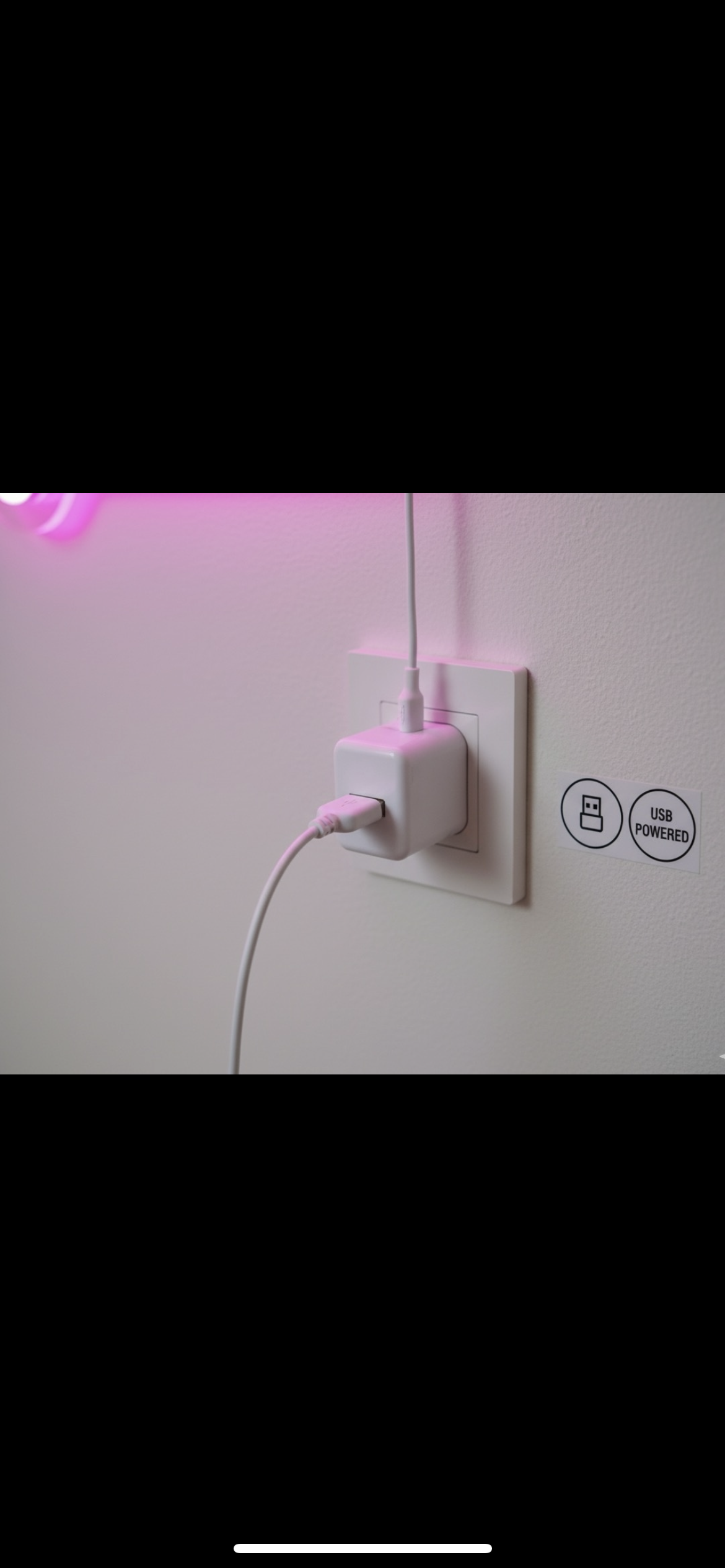 Let's Celebrate Neon Sign