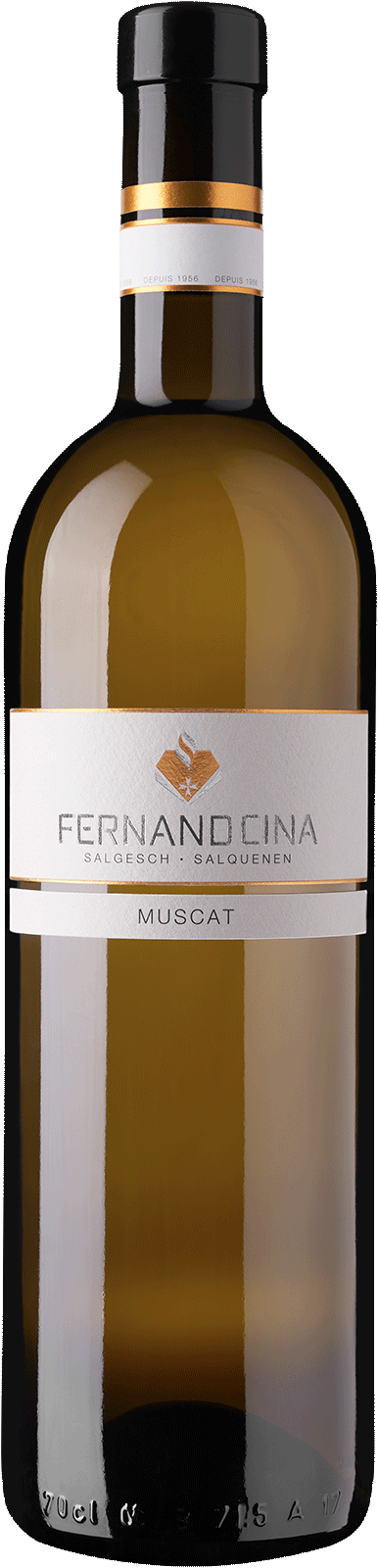 Muscat «Fernand Cina»