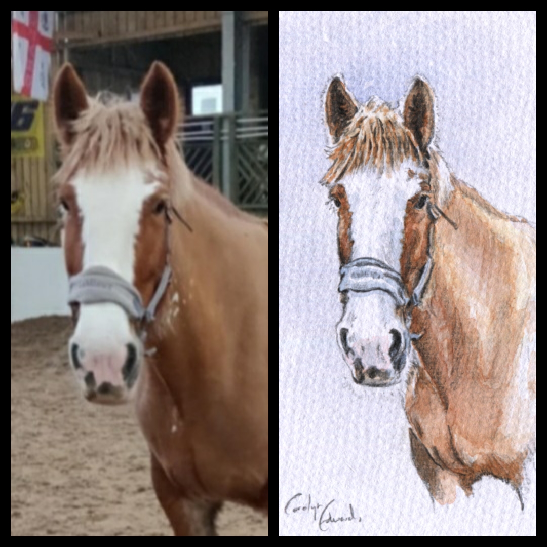 'Horse Portrait' - Bespoke