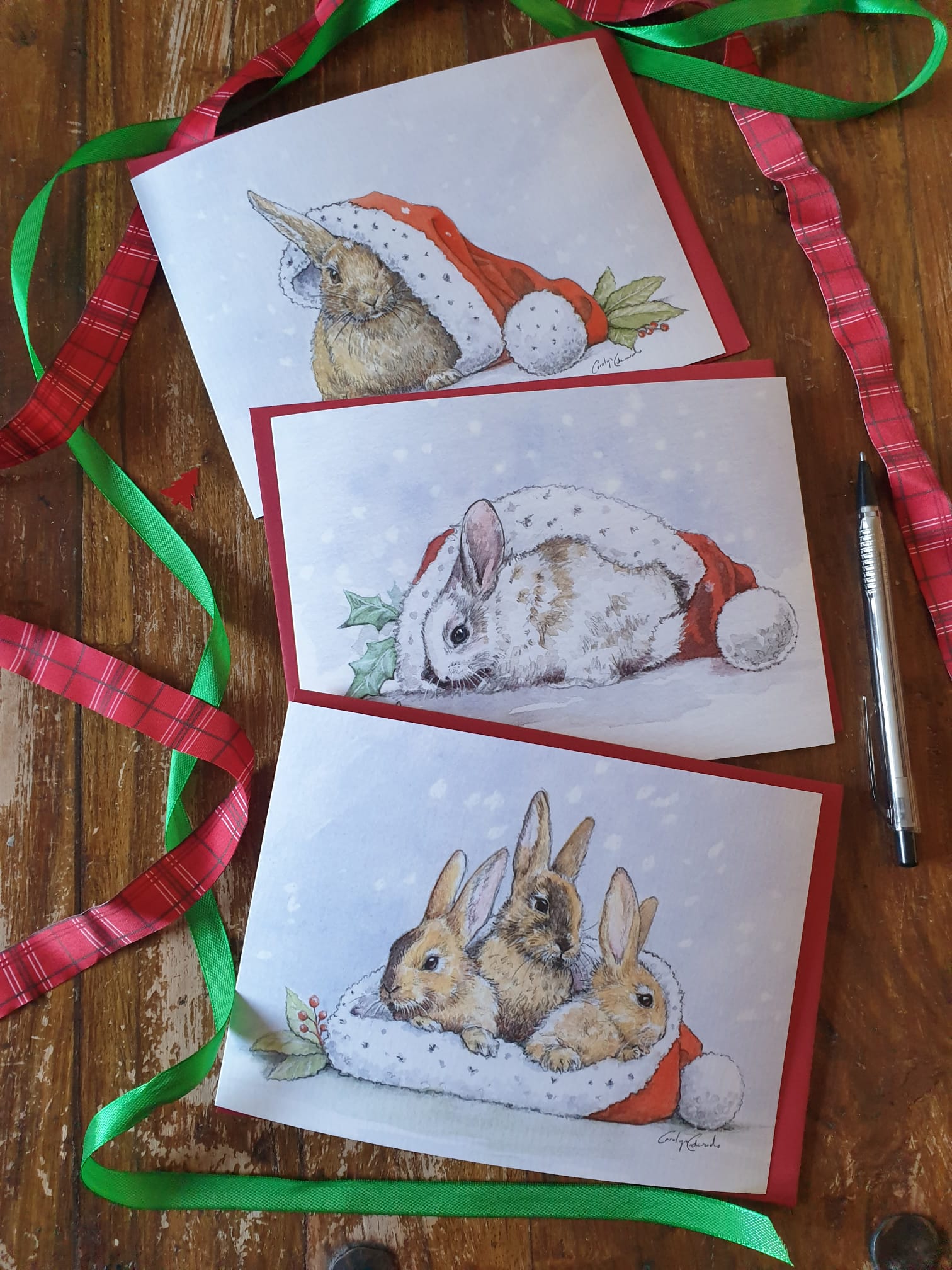 Baby Bunny Christmas Cards
