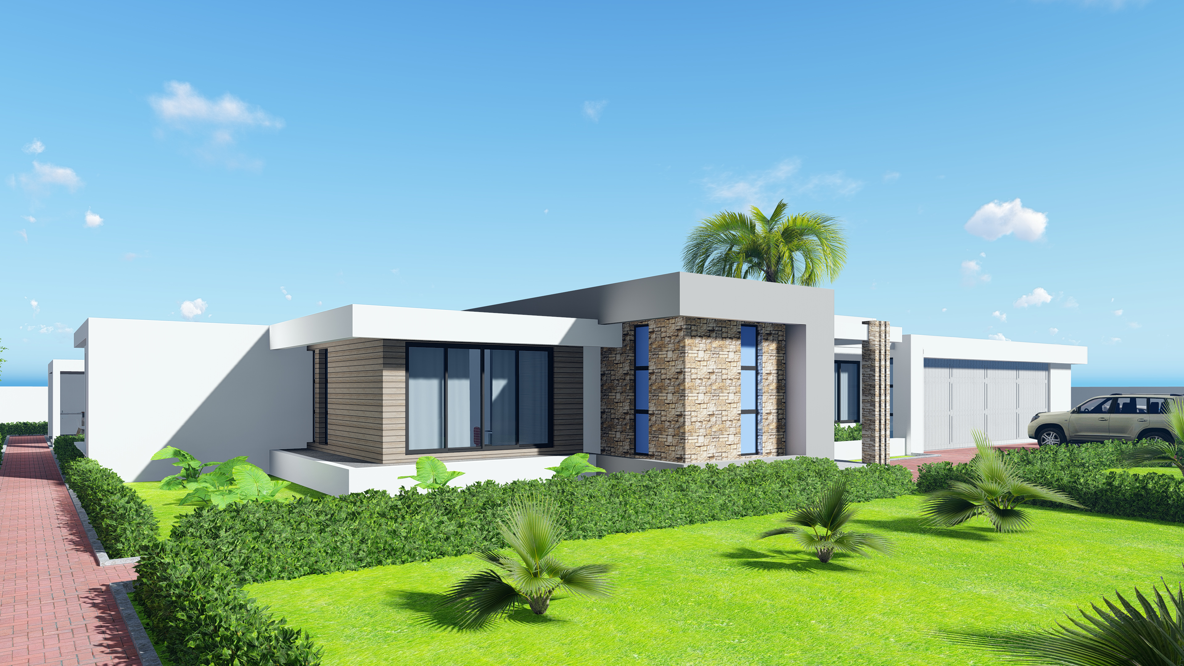 Projecto Carolina - T4