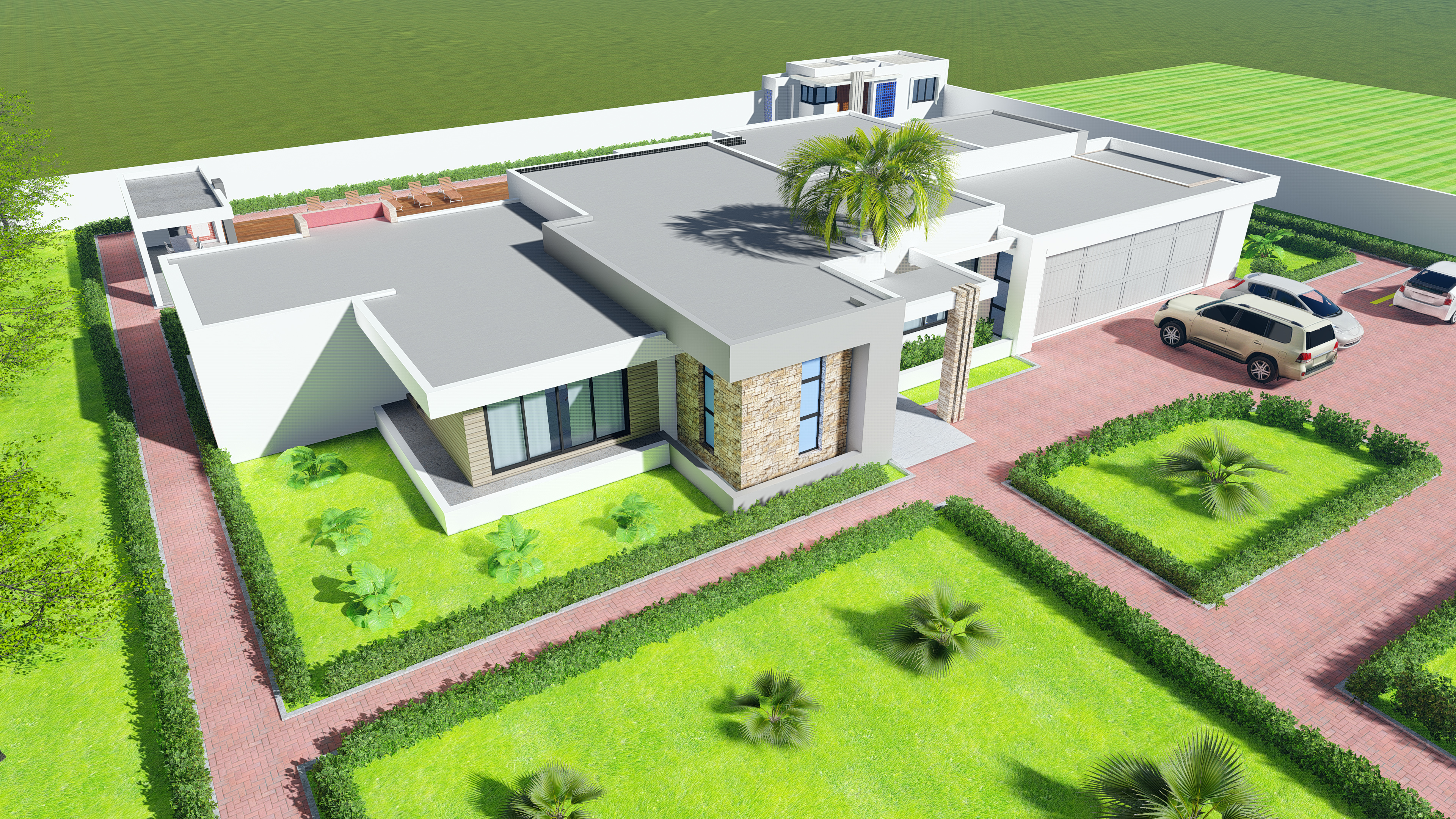 Projecto Carolina - T4