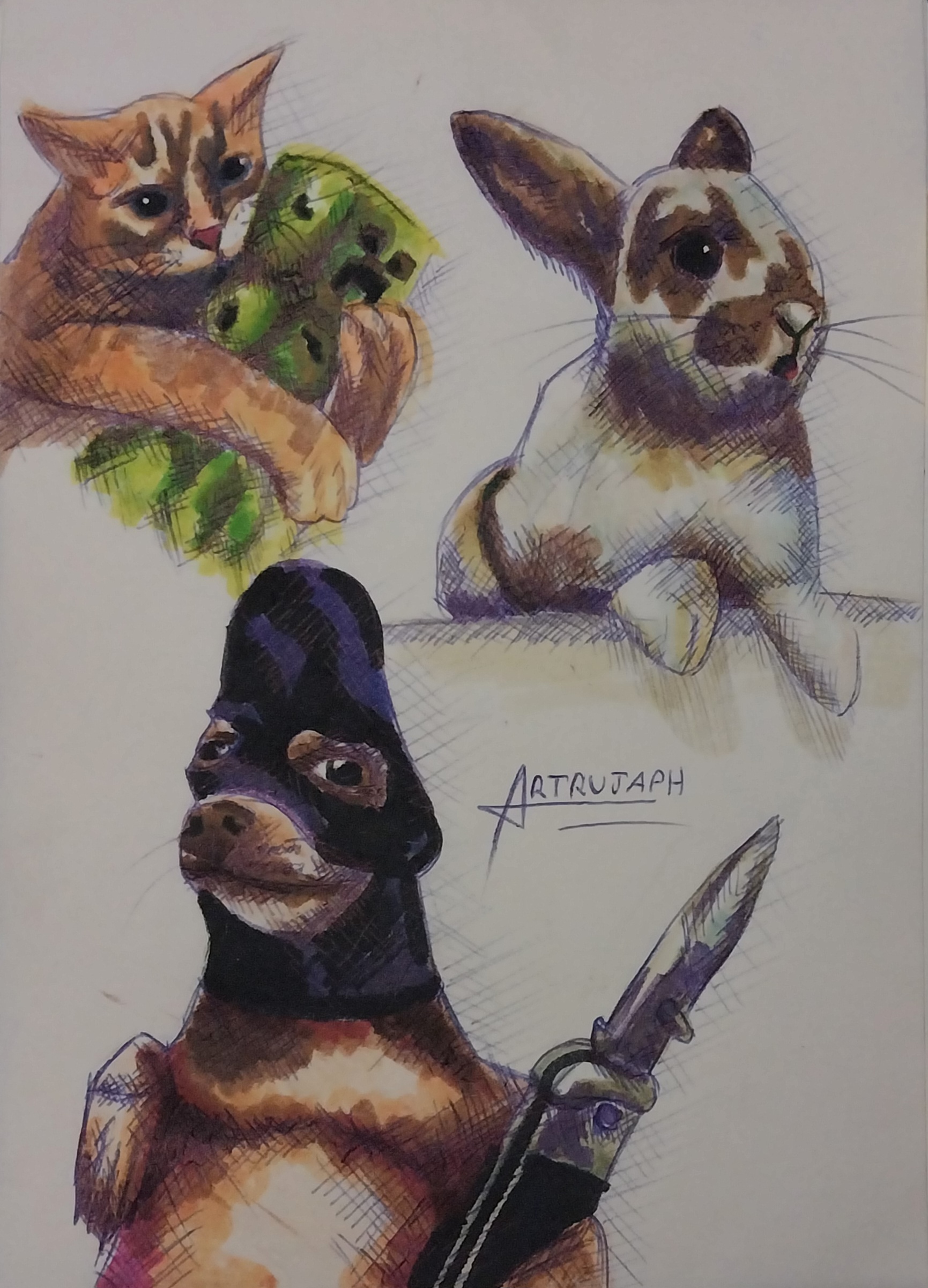 "Gato, Perro y Conejo"