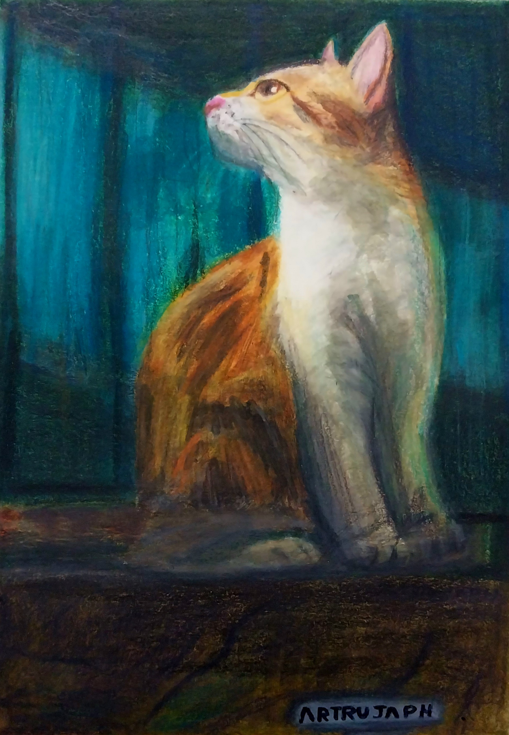 "Maullido de la Luz"