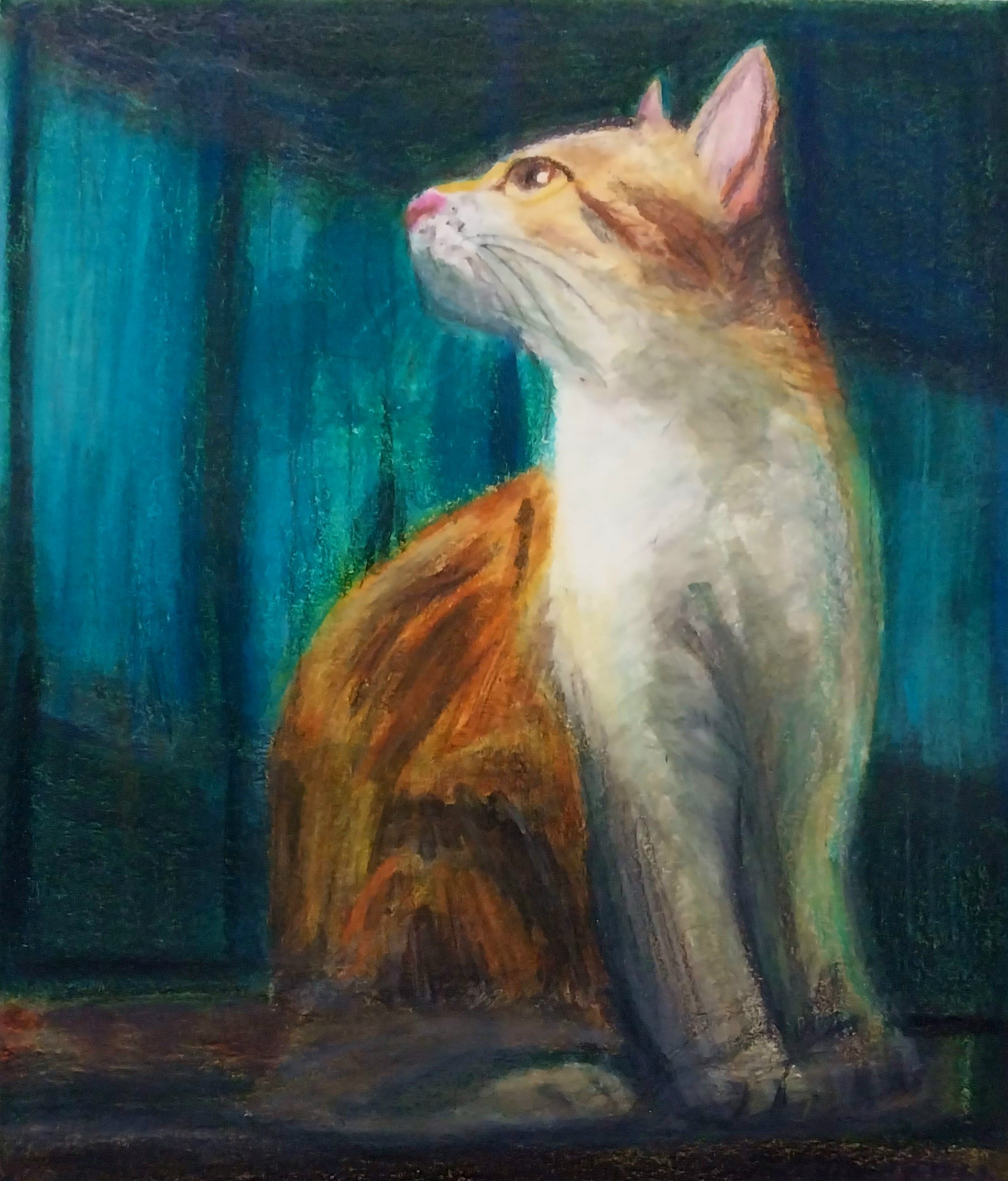 "Maullido de la Luz"