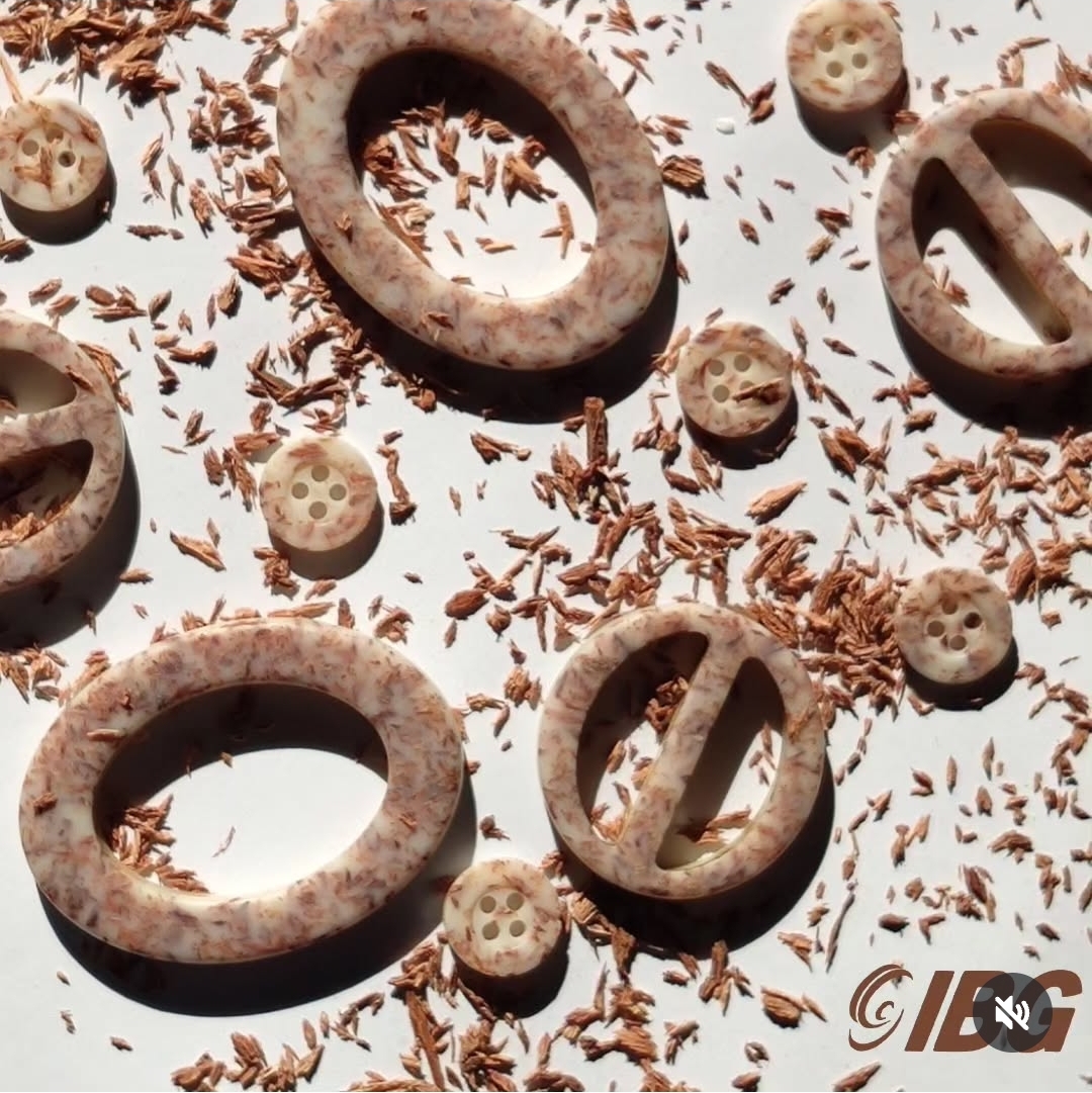 Argolas & Passadores + Botões para Moda Praia & Feminina