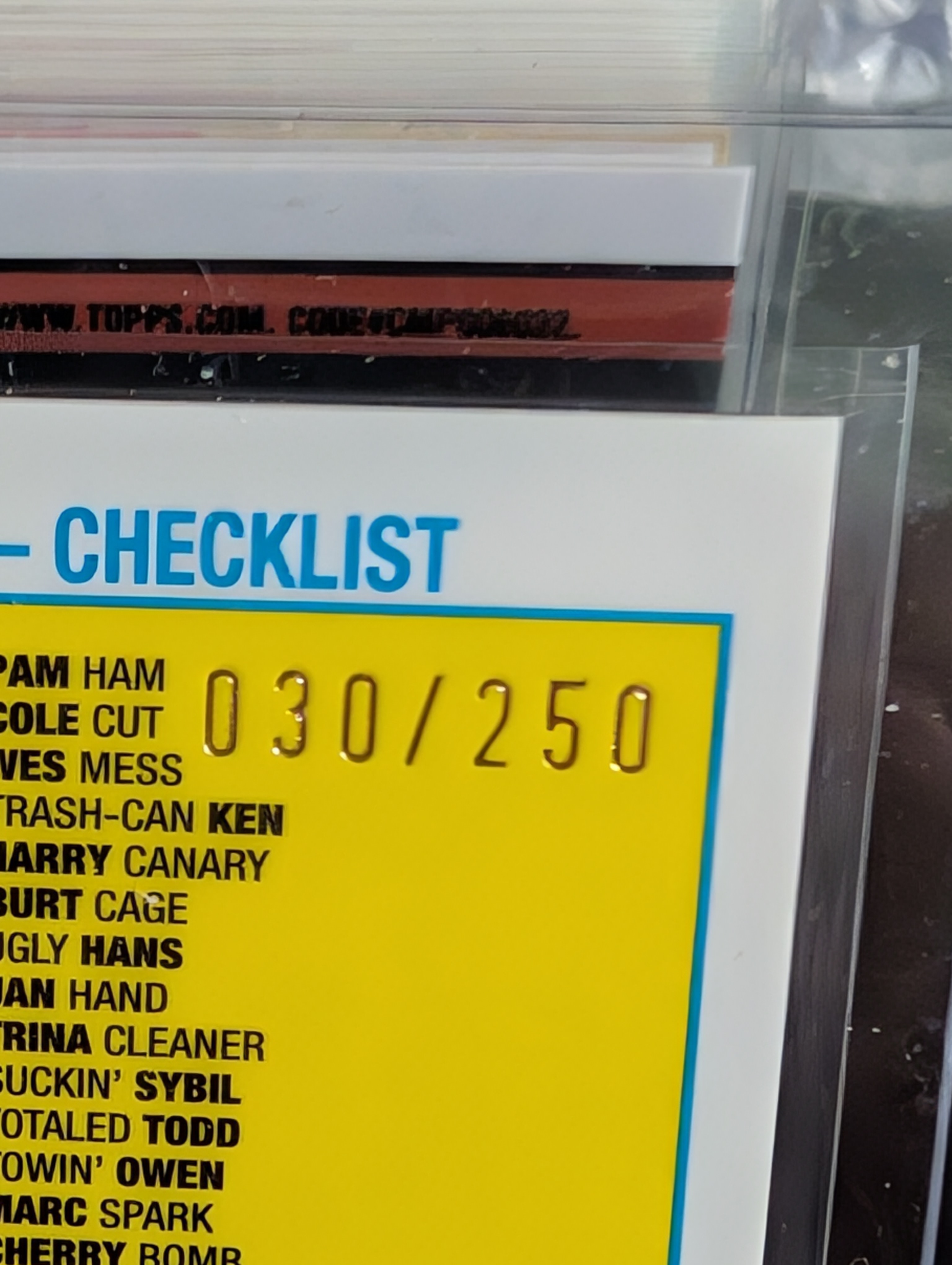 Limited Edition Garbage Pail Kids Checklist Card