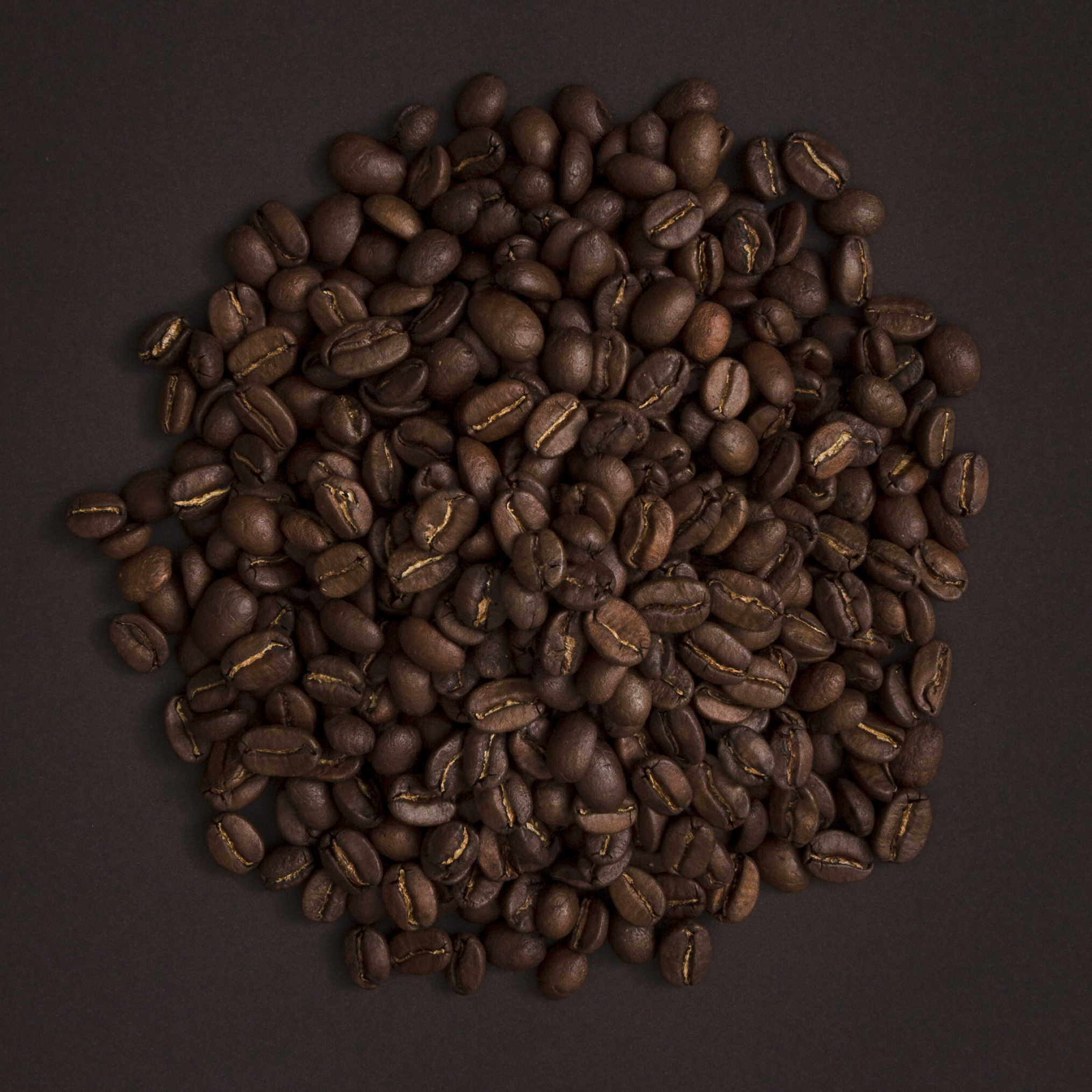 Robusta Lower Grade (Roasted)