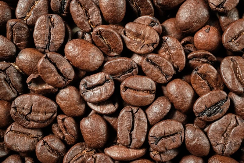 Premium Robusta - Grade 1 (Roasted)