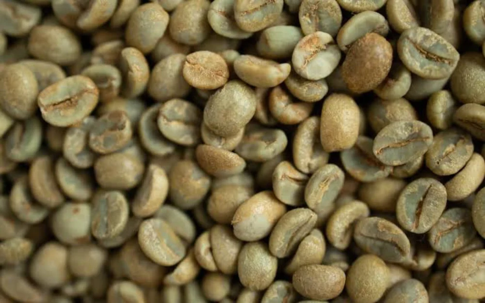Robusta - Grade 2 (Unroasted)