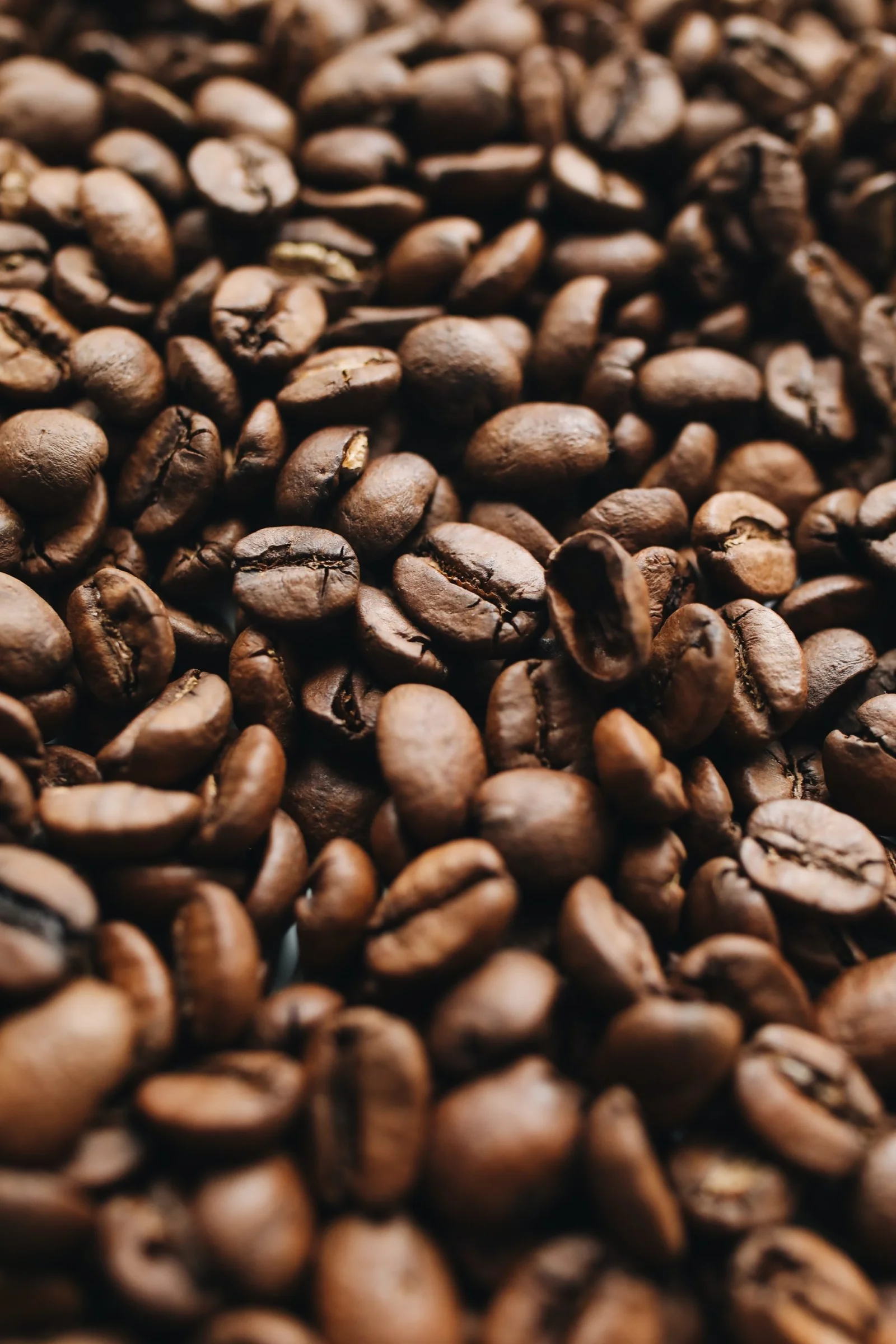 Premium Robusta - Grade 2 (Roasted)