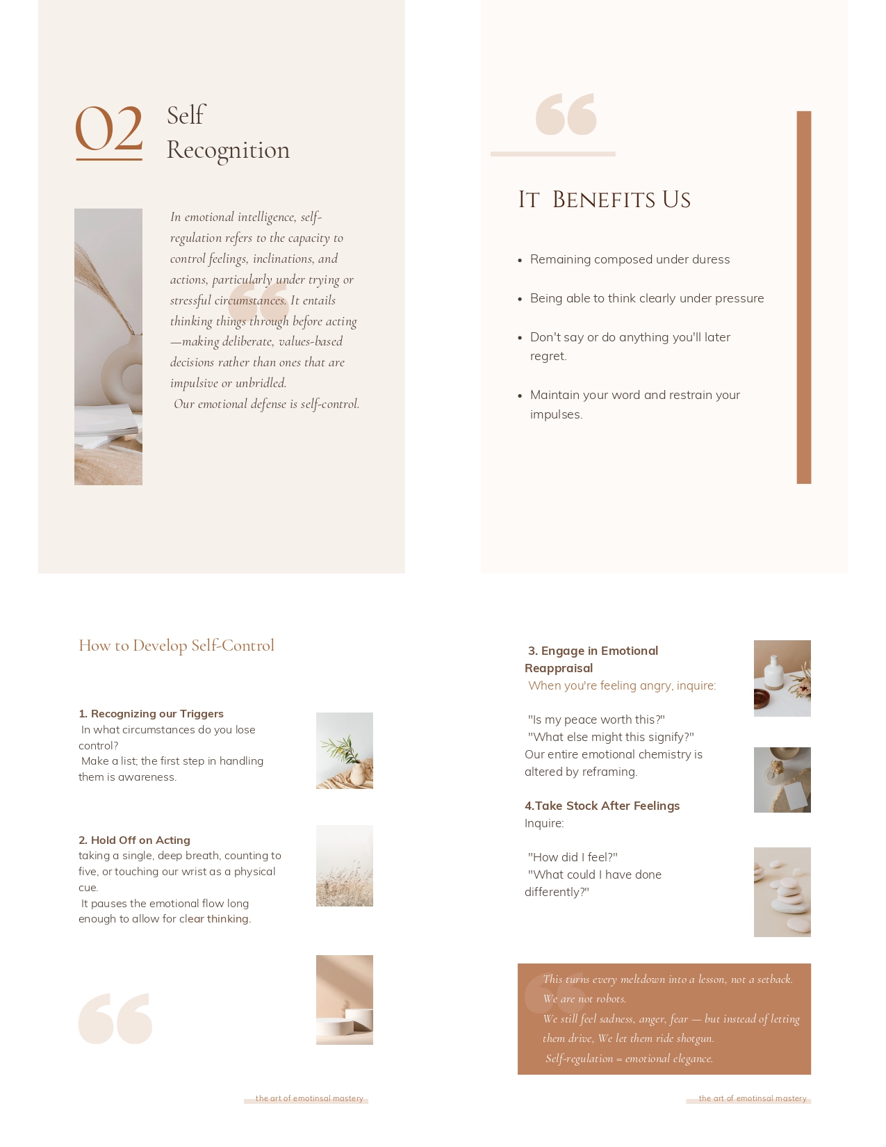 The Art of Emotional Mastery