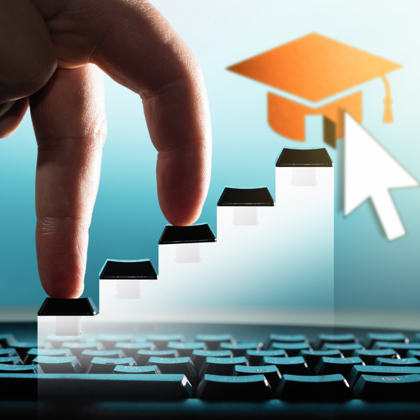 Online Learning Program