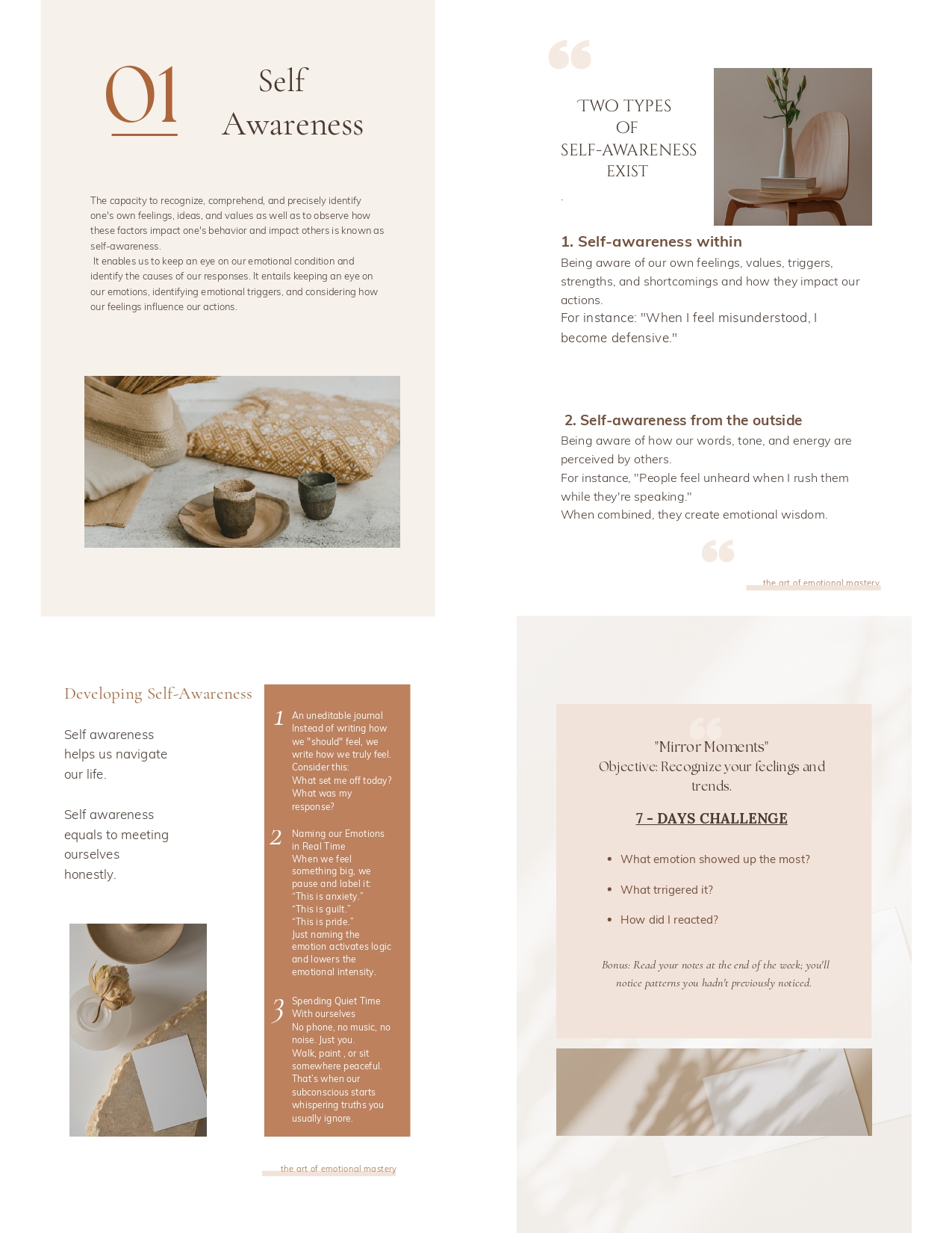 The Art of Emotional Mastery