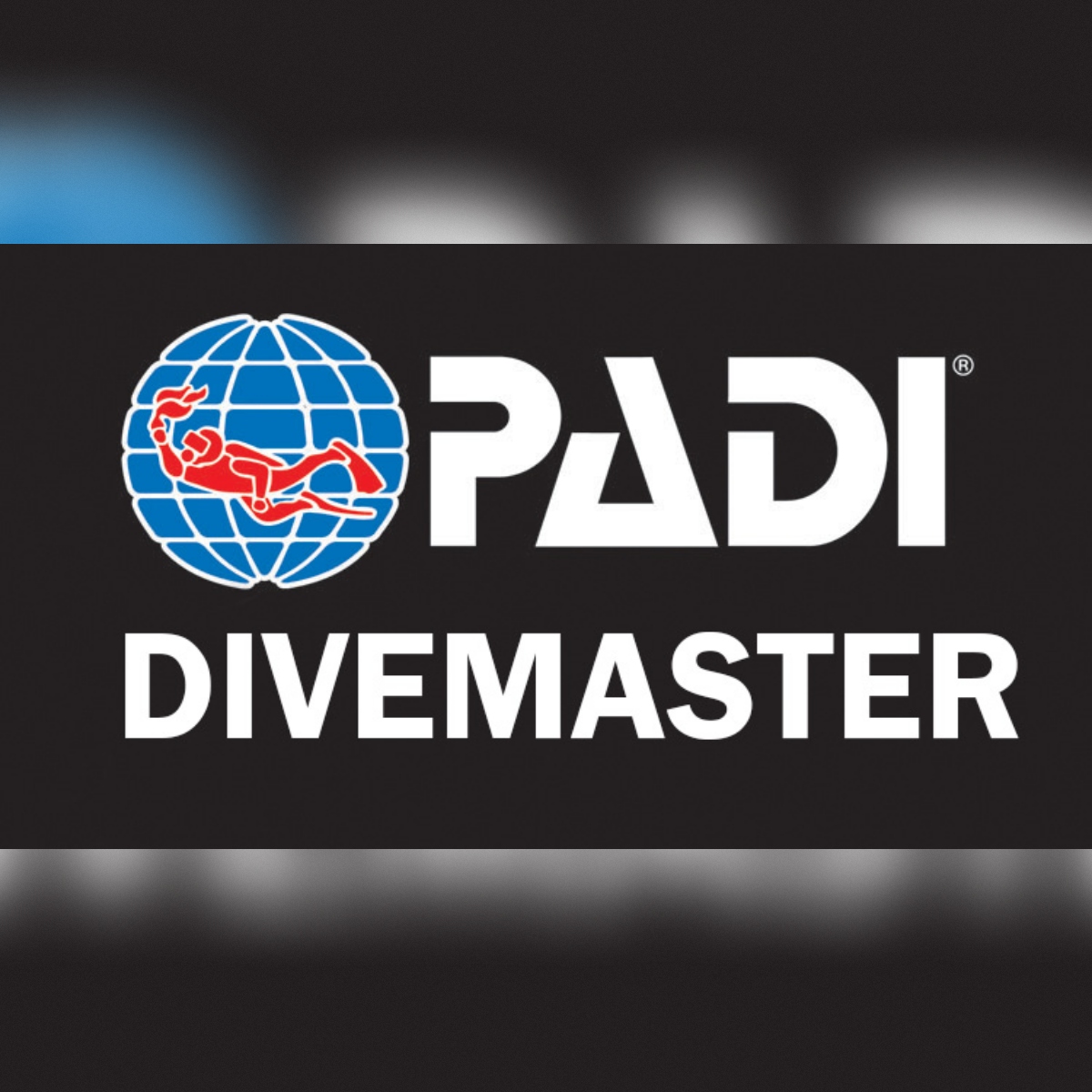 PADI Divemaster Course