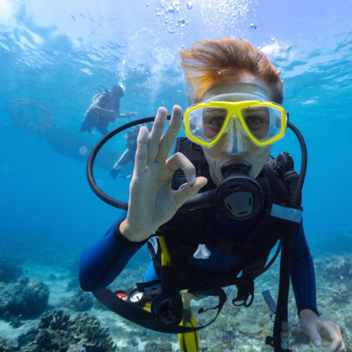 Half-Day Dive Tour for Certified Divers