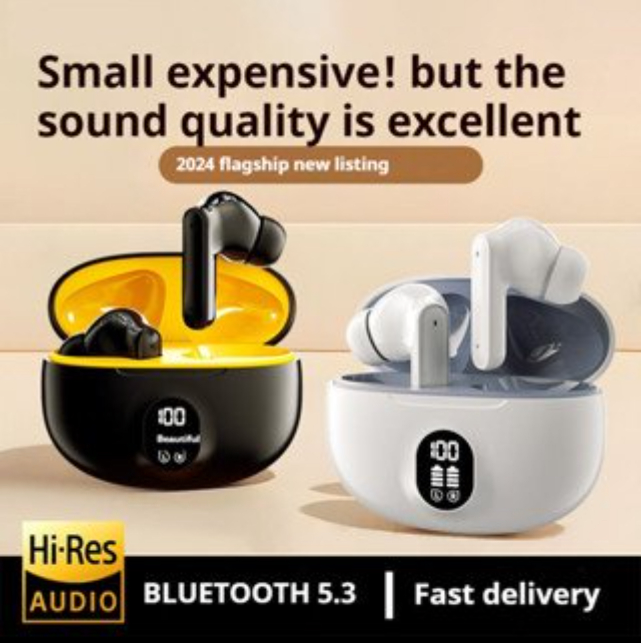 Wireless Hi-Res Audio Earbuds