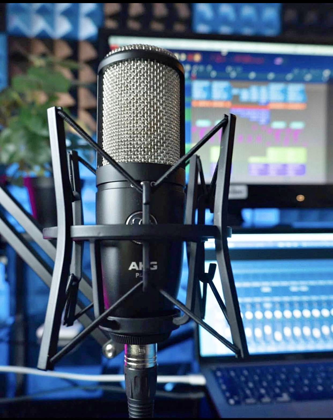 Digital Voice Recorder