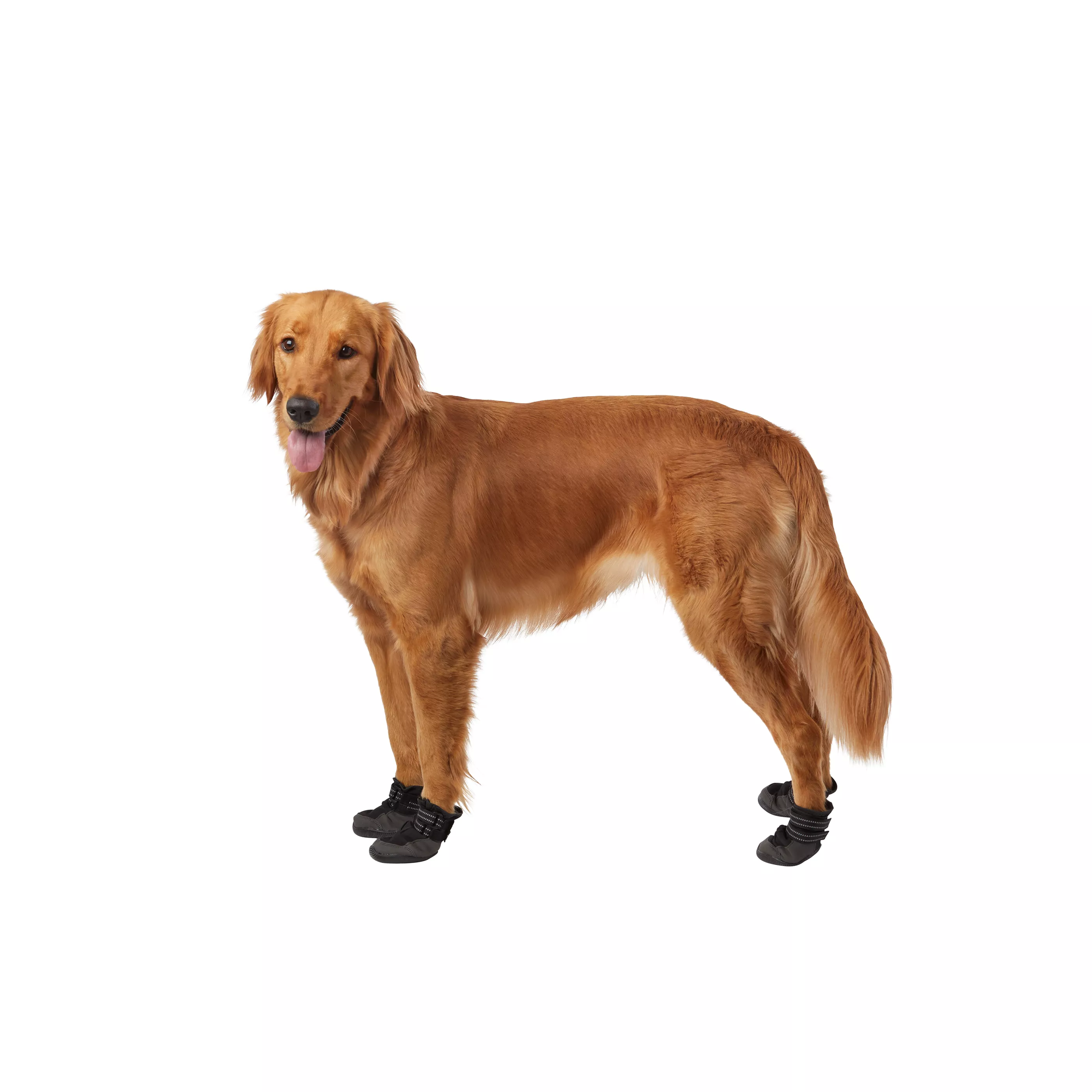 Premium Dog Booties