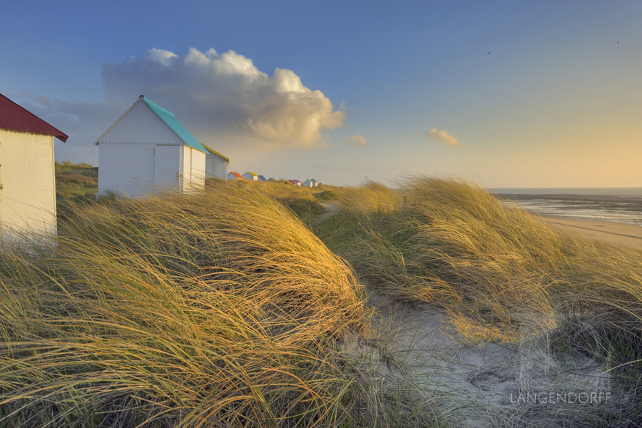 Du vent dans les cabanes