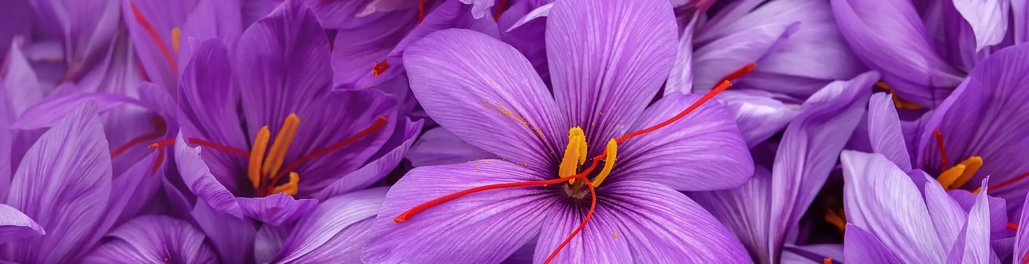 Areon Home Perfumes Reed Diffuser