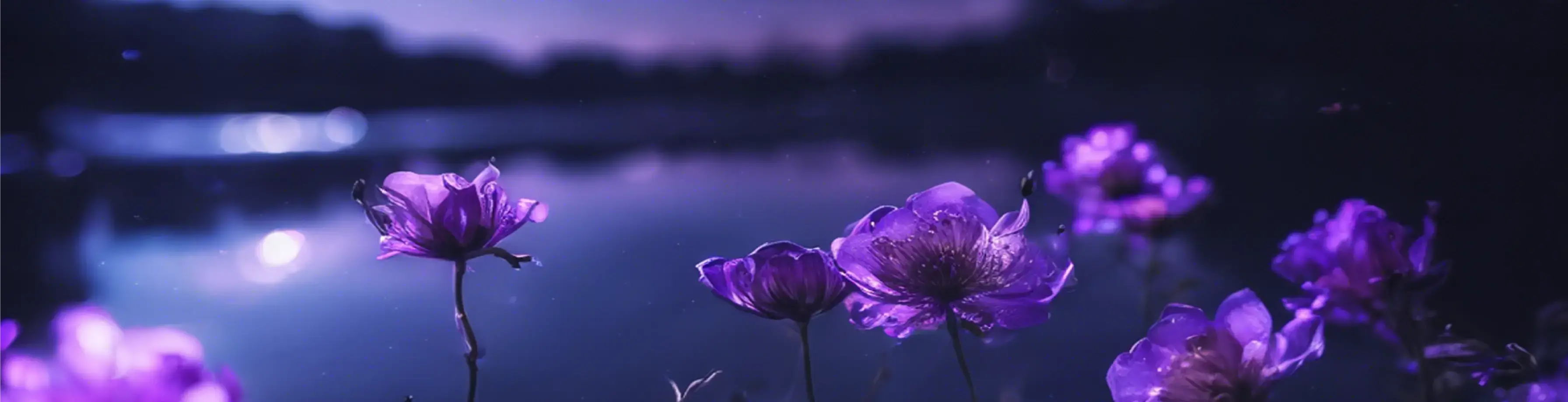 Areon Home Perfumes Moonlight