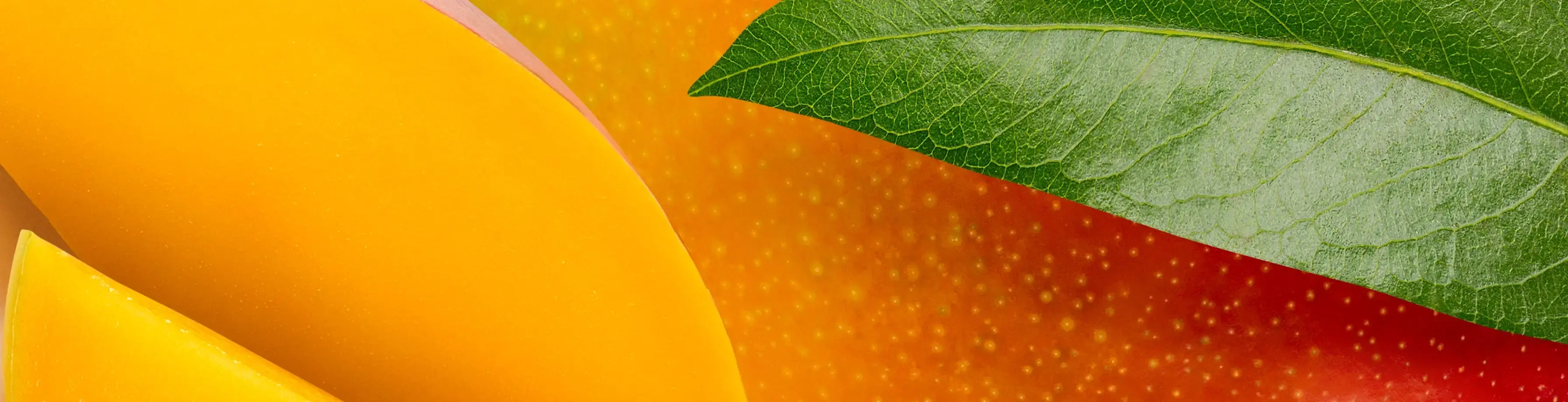 Areon Home Perfumes Mango Reed Diffuser