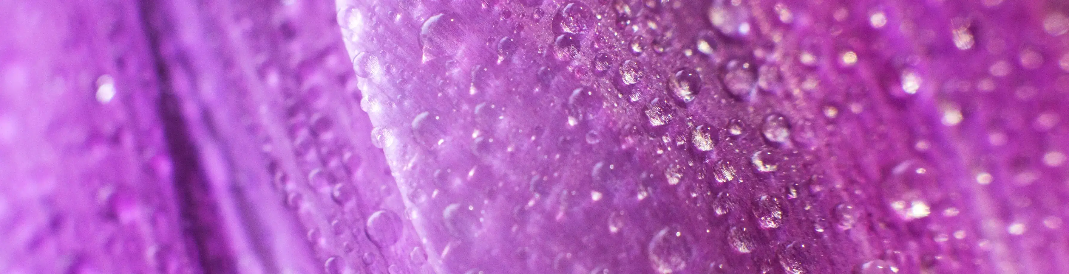 Patchouli, lavendel og vanilje 