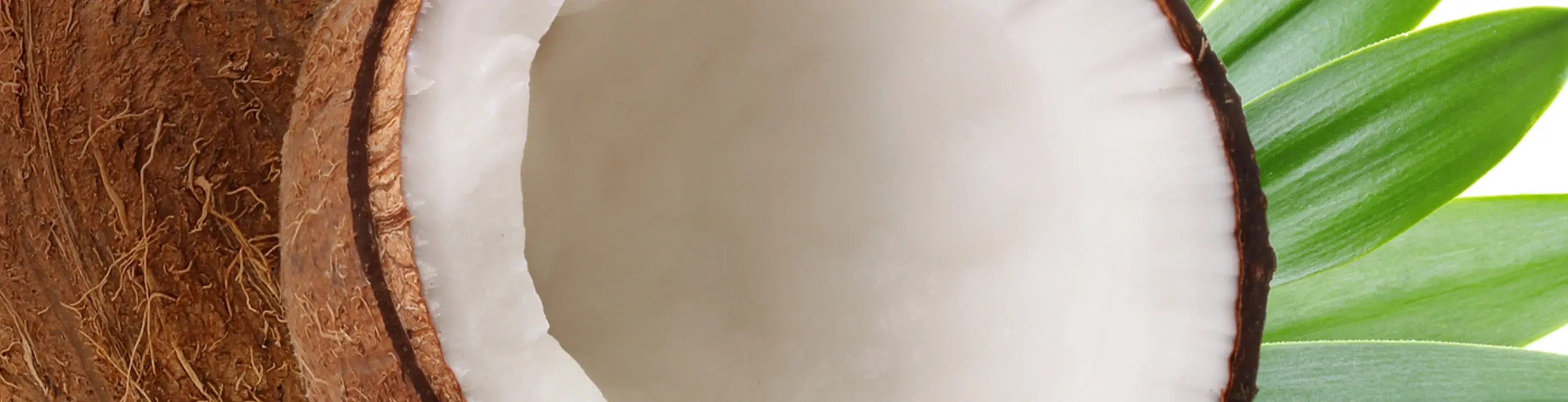 Areon Xperience (Kokos)