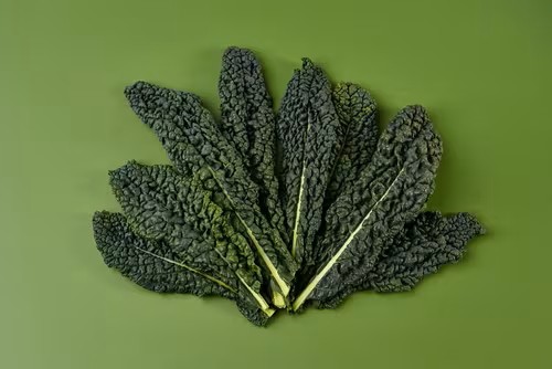 Fresh Cavolo Nero Cabbage